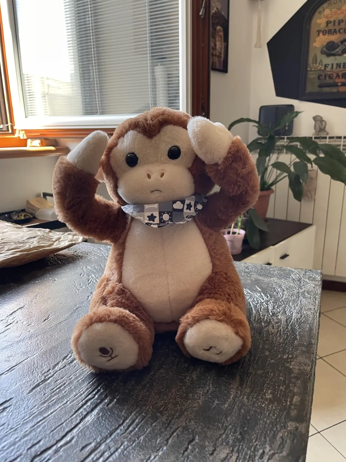 eJog Pup Scimmia peluche interattivo musicale con voce
