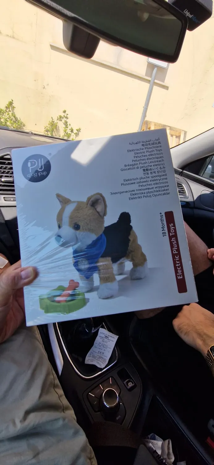 eJog Pup Corgi cane robot controllo vocale che cammina