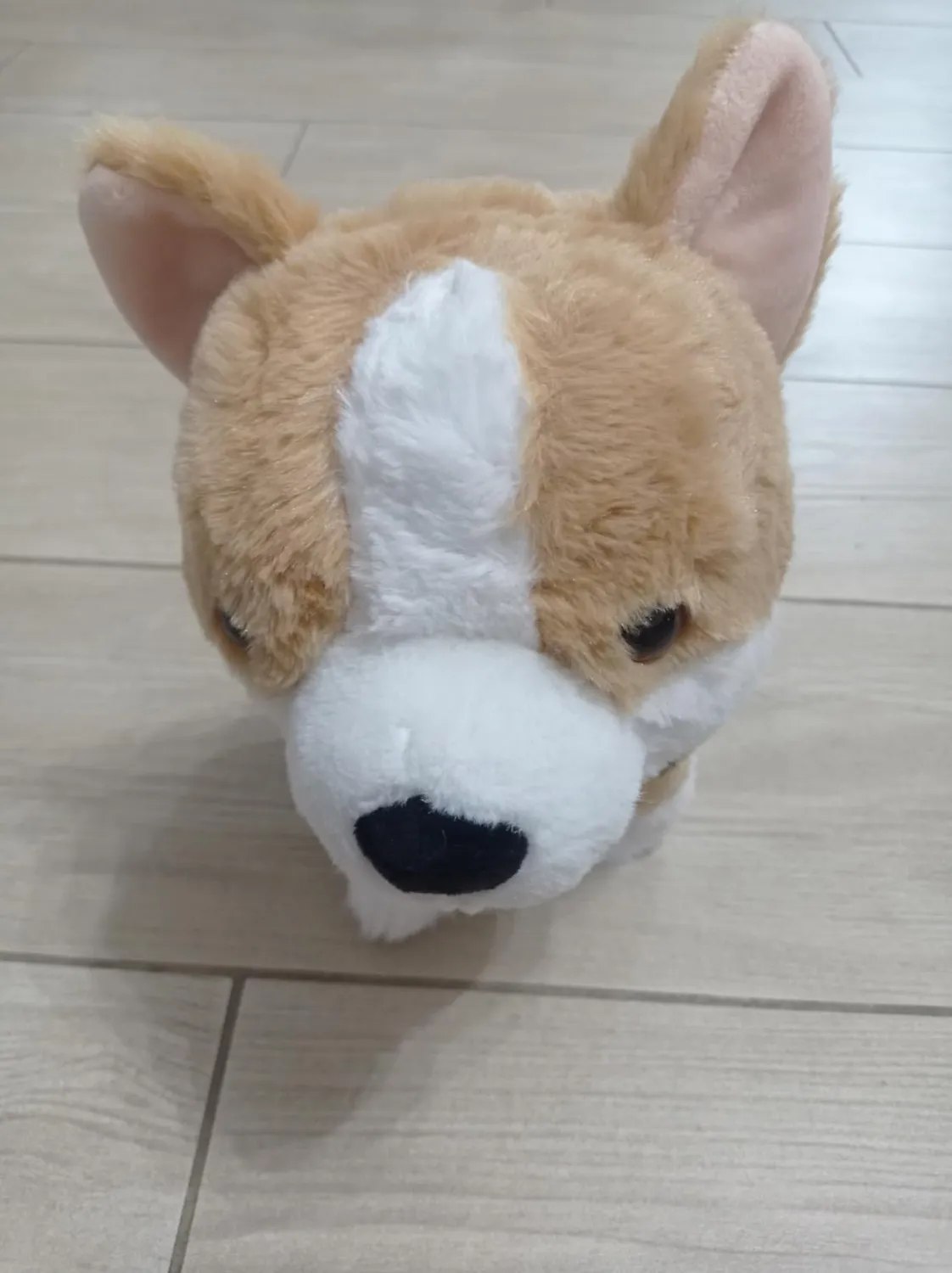 eJog Pup Corgi cane robot controllo vocale che cammina