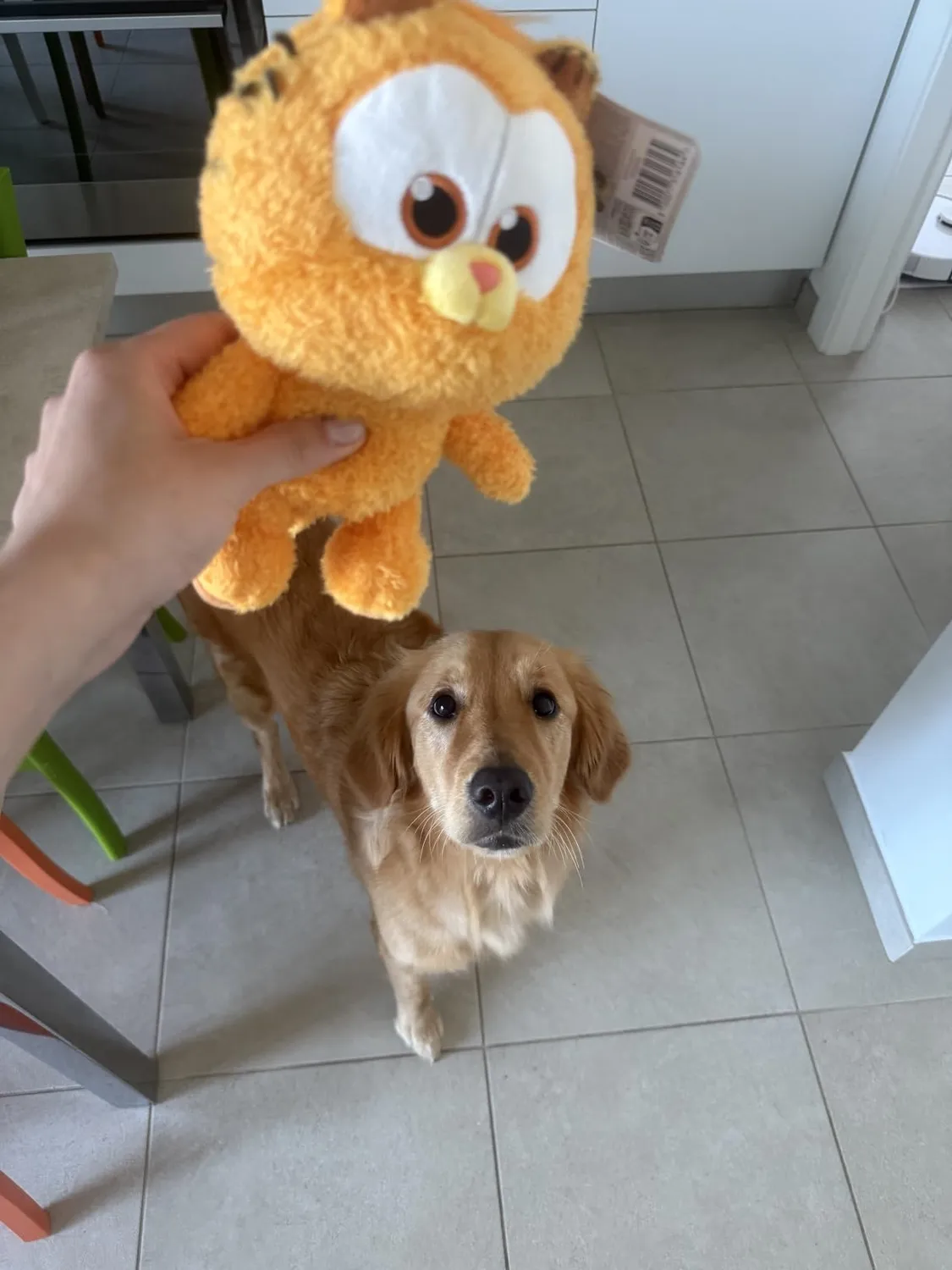 Animagic Garfield Odie peluche morbido cane giallo 2 anni