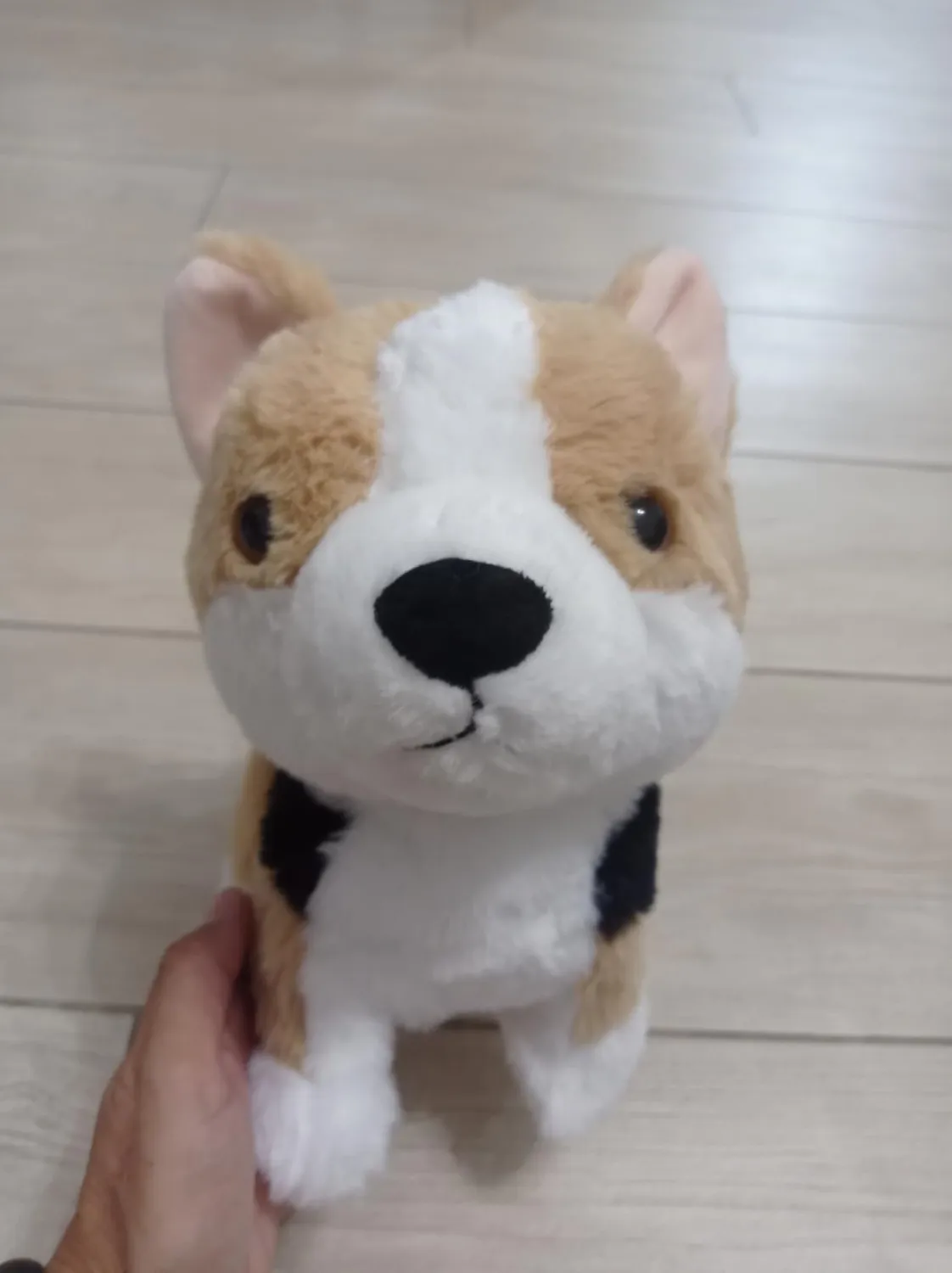 eJog Pup Corgi cane robot controllo vocale che cammina