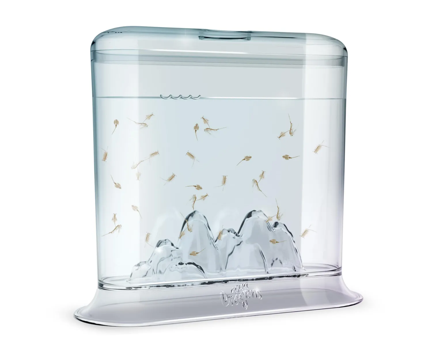 Animagic Aqua Dragons Hatch'n'Grow kit acquario fai da te 6 anni