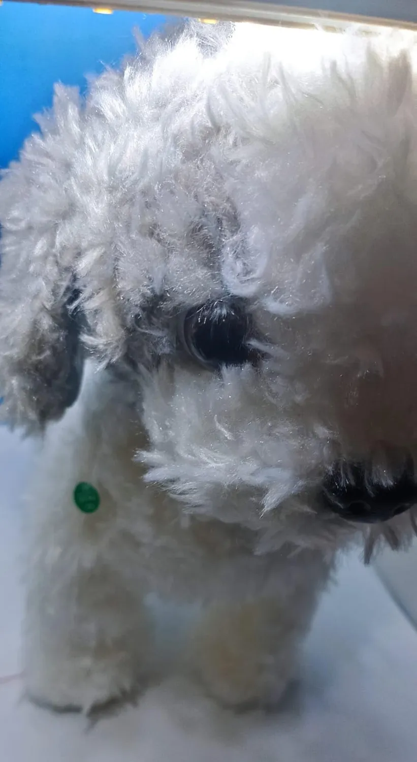 OR OR TU Cagnolino peluche elettronico che lecca e canta con guinzaglio